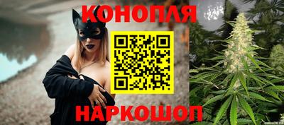 прущая мука Гатчина