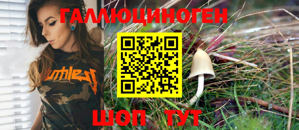 Горно-Алтайск  где купить наркоту  Вход с VPN  Псилоцибиновые грибы Psilocybine cubensis 