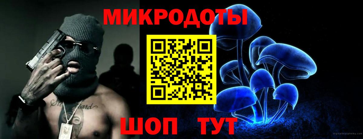 Галлюциногенные грибы мицелий Горно-Алтайск